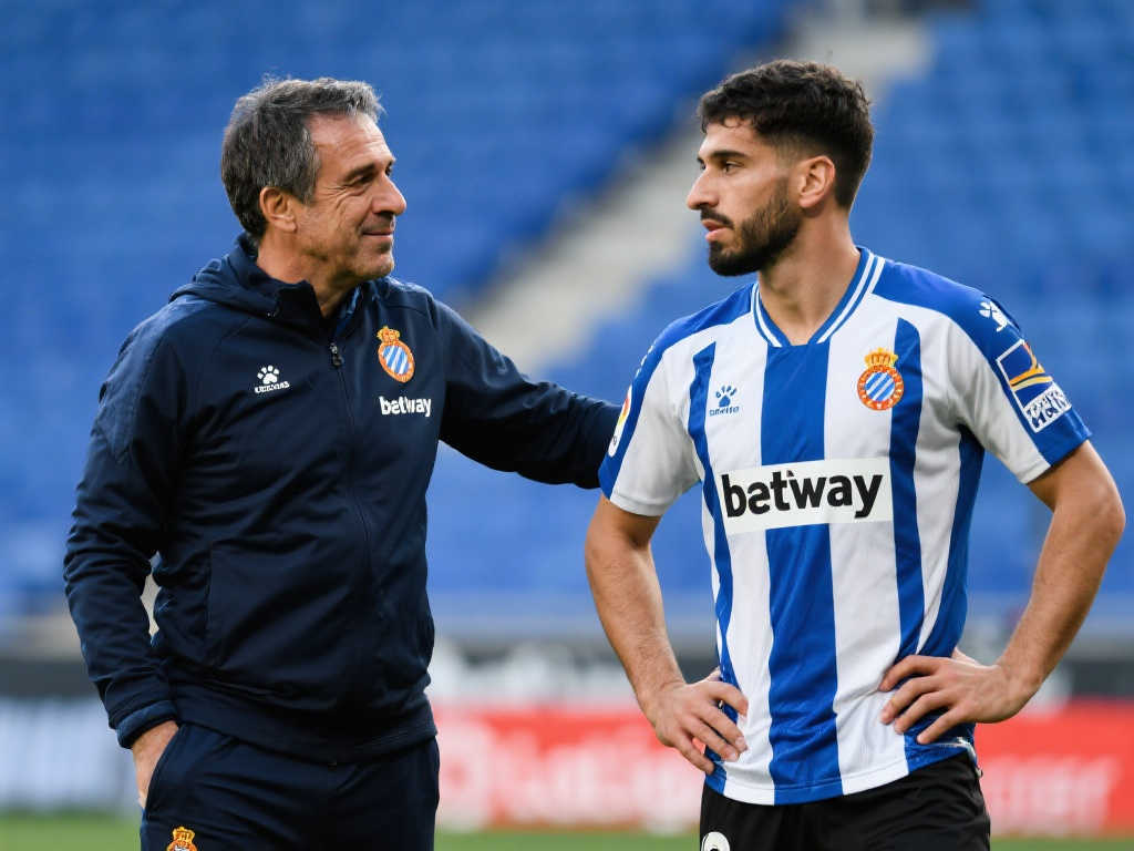 作為中國新 作為中國新